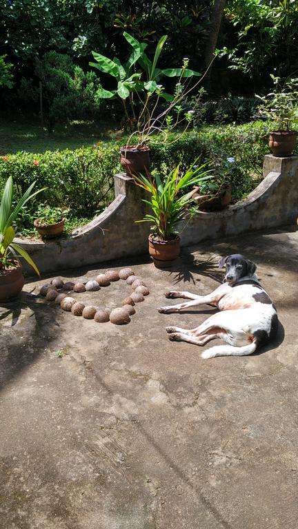 Arabian Soul Bed & Breakfast Varkala Bagian luar foto