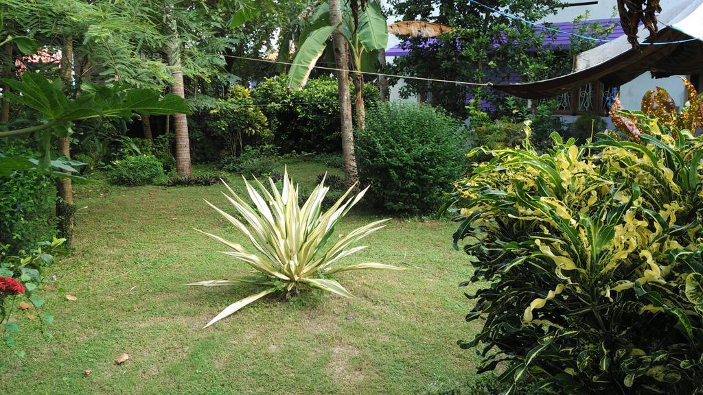 Arabian Soul Bed & Breakfast Varkala Bagian luar foto